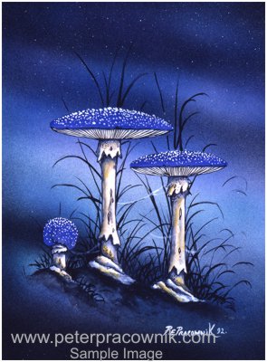 fantasy-midnight-blue-m12.jpg