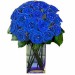 18-blue-roses.jpg